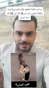 قط مفقود قرطبة