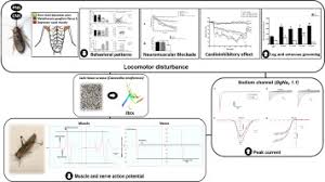 Jaburetox A Natural Insecticide Derived From Jack Bean