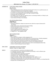Developer Intern Resume Samples Velvet Jobs