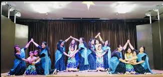 Dance Costumes For Rent Nikki S Costume Creations Indian Dance Costumes For Rent