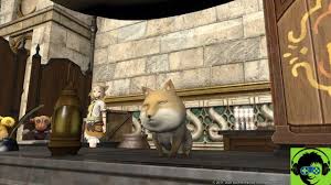 If you want to unlock this class, then you can do so by heading over to the rogue guild. Final Fantasy Xiv How To Unlock False Hollows How False Hollows Work