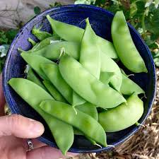 It is a good idea to remove the string that runs down the middle of the pods since they are difficult to chew and digest. How To Plant Grow Snow Peas Brown Thumb Mama
