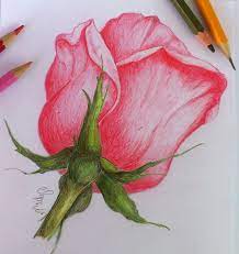 Visualizza altre idee su disegni semplici, disegni, idee per disegnare. Pin Su Design Watercolors