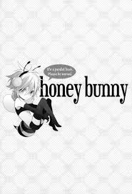 Howdoyousay.net provides translations, pronunciation and other vocabulary help for words and phrases in some of the most popular languages of the world. How Do You Say Honey Bunny In Spanish