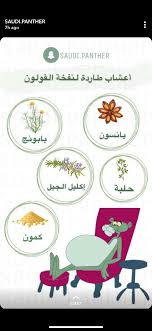 Pin By Nina Mustapha On معلومات Health Fitness Nutrition Health Healthy Health Lifestyle