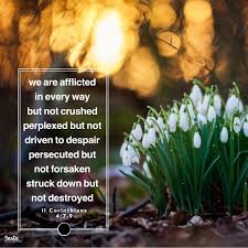 Pin On Sun And Shield