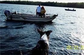 Heidi Benoit Obituary (2007)