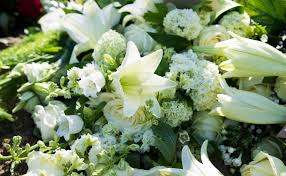 The real winnie had a sweet tooth — preferring condensed milk to raw meat. Flower And Gift Article Archives Flower Care Tips Health Wellness Brant Florist