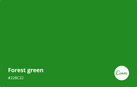 The color darkgreen / dark green (x11) with hexadecimal color code #006400 is a dark shade of green. Forest Green Meaning Combinations And Hex Code Canva Colors