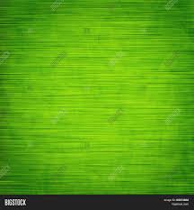 Closeup view of blurred green grass and defocused effect of green foliage of trees. Elegant Green Abstract Image Photo Free Trial Bigstock