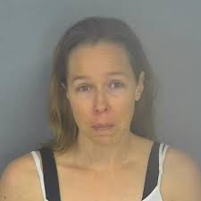 Willard woman charged, shot man during domestic disturbance