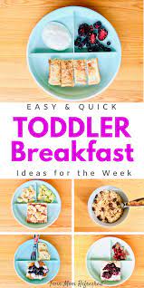 Quick Toddler Breakfast Meal Ideas Toddler Breakfast Breakfast Recipes Easy Baby Breakfast