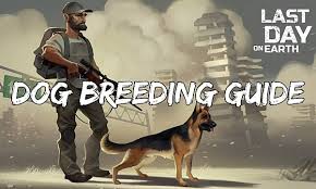 May 25, 2021 · in this video, we'll explain why dogs get stuck together during mating, why dogs appear to be distressed by it, and whether you should intervene during a dog. Last Day On Earth Survival Complete Dog Breeding Guide Last Day On Earth Survival