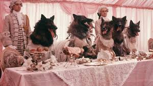 The film received a negative critical response. The Company Of Wolves Film Review The Horror Entertainment Magazine