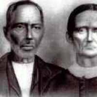 Thomas Napier (1817–1896)