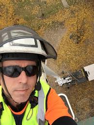 Profile for Arbor-Ops Tree Service