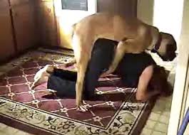 Watch men fucking mare horses, women having sex with dogs and taking the knot covered in dog cum. Zoo Videos Zoo Porn Tube Mais Popular Pagina 1