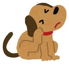 かゆい犬のイラスト | かわいいフリー素材集 いらすとや