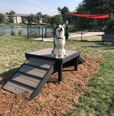 Check spelling or type a new query. Pin On At Home Dog Park