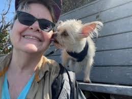 Diving into DMs Guild and Pathfinder Infinite with Elise Cretel