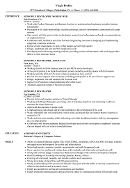 senior ui developer resume samples