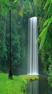 Now take a look at a waterfall that i captured at 5 seconds: 10 Park Ideas Picsart Background Background Images Hd Editing Background
