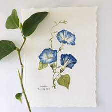 Blue Morning Glory Heavenly Blue Botanical Painting Of 3 Etsy In 2020 Morning Glory Tattoo Blue Morning Glory Morning Glory Flowers