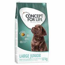 Concept For Life Large Junior A Healthy Well Balanced Dog Food 12kg Pet Supplies 829377457411 Ebay Dog Food Recipes Pet Supplies Pets