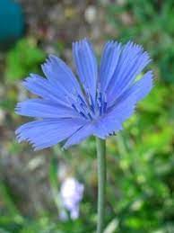 Pin On Natural