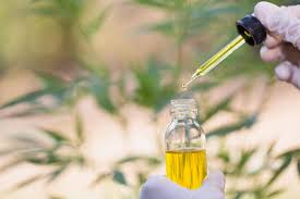 As feco is highly potent, it is important to consume a very small amount to begin with. Cbd For Cancer Possible Benefits Side Effects And More