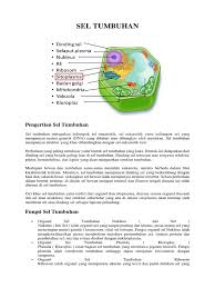 Maybe you would like to learn more about one of these? Sel Tumbuhan Dan Sel Hewan Pdf