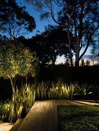 Lighting In Sansevieria Mass Planting Maroubra Nsw Australia Anthony Wyer Associates Outdoor Landscape Lighting Landscape Lighting Rustic Garden Lighting