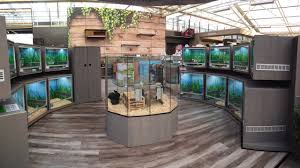 Kleintiere Venlo Gartencenter Leurs Venlo Holland