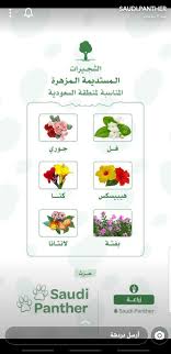 Pin Van Hnoreen Op Home Managment إدارة المنزل In 2020 Taal