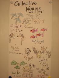 those who can teach 2nd grade collective nouns