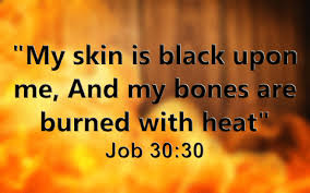 What Are Some Sicknesses And Diseases In The Bible A Christian Study