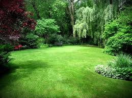 Acreage Landscaping Large Yard Landscaping Acreage Landscaping Large Backyard Landscaping