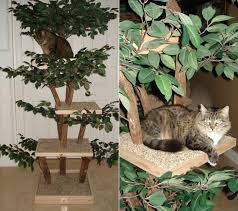 22 diy cat tree plans and cat tree design ideas. Ready To Assemble Real Wood Cat Tree Kits