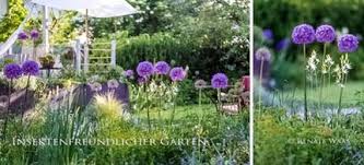 Zierlauch Pflegeleichter Garten Garten Design Pflegeleichter Garten Garten