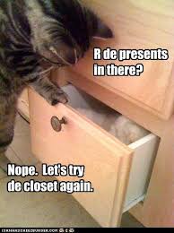 Nosey Kits Funny Cat Pictures Funny Cats Funny Cat Memes