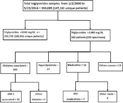 flow chart for the samples with serum plasma triglycerides