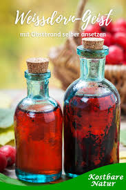 Weissdorngeist Mit Obstbrand Selbst Zubereiten Kostbare Natur In 2020 Obst Beeren Dornen