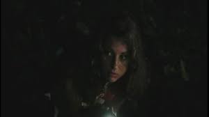 Image result for Black Forest 2007 RX