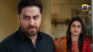 Jaan Nisar Episode 14