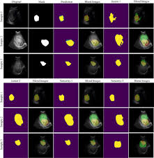 Image result for Eye Rest Green 1977 Hussmann