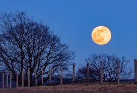 Non, la « super lune rose » n'a pas des teintes fushia, comme on pourrait l'imaginer. La Super Lune Rose Visible Dans Le Ciel Ce Mardi Soir Les Quatre Choses A Savoir Sur Ce Phenomene Actu Bordeaux