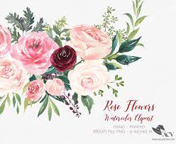 Maybe you would like to learn more about one of these? Marsala Flower Clipart Marsala Watercolor Flowers Boho Bordo Watercolor Clipart Burgundy Blush Wedding Flower Clipart Wedding Mgdh 11 Acv Store