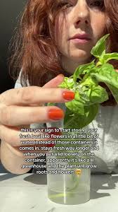 apparently my thumb is green #basil #herbs #foodstorage how to store b...