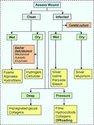 elder care notebook nihs wound bedsore treatment chart