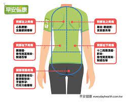 搜尋醫生 預約服務預約服務 搜尋病症及治療搜尋病症及治療 位置 立即下載港怡「智」健康應用程式下載應用程式. å¾ŒèƒŒç—›æš—è—å…§è‡Ÿè­¦è¨Š å·¦å³ä¸ŠèƒŒç—›å¤§ä¸åŒ ä¸€åœ–çœ‹æ‡‚èƒŒéƒ¨ç–¼ç—›çš„å±éšªè¨Šè™Ÿ æ—©å®‰å¥åº·